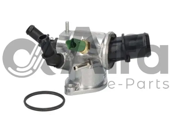 Thermostat, coolant (AF12175)