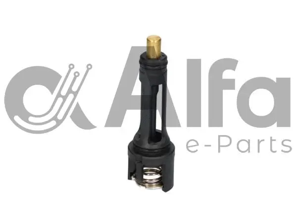 Thermostat, coolant (AF10379)