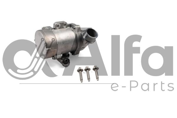Auxiliary Water Pump (cooling water circuit) (AF12066)