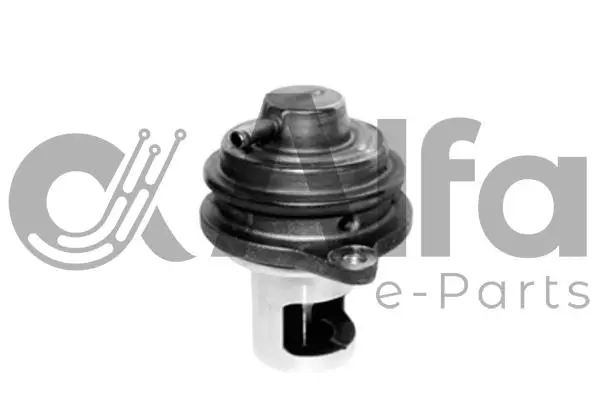 EGR Valve (AF08490)