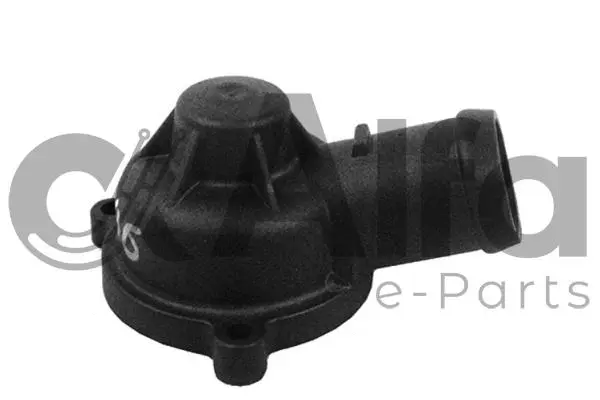 Coolant Flange (AF12125)