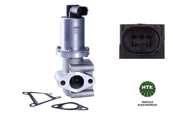 EGR Valve