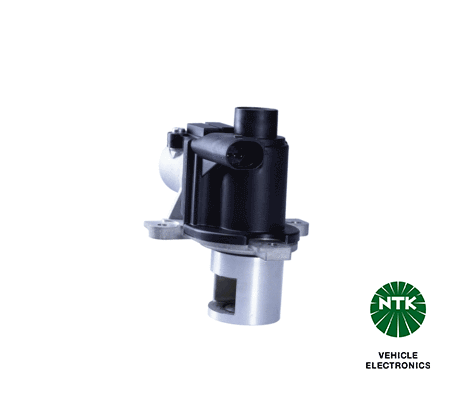 EGR Valve (94955)
