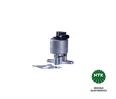 EGR Valve (94891)