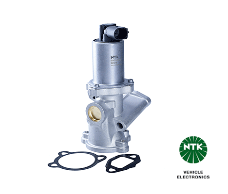 EGR Valve (92915)