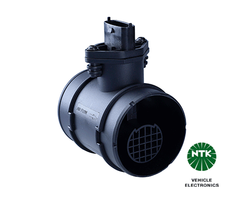 Mass Air Flow Sensor (96310)