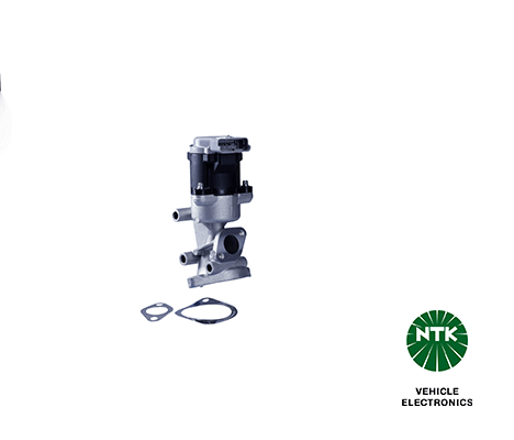 EGR Valve (91181)