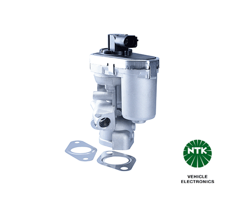 EGR Valve (94505)