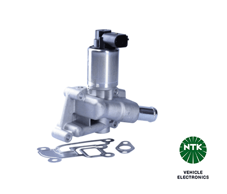 EGR Valve (90065)