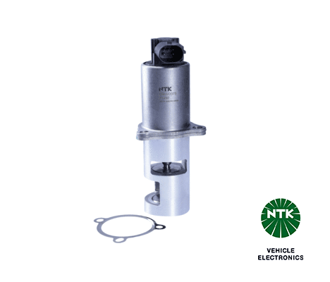 EGR Valve (91492)