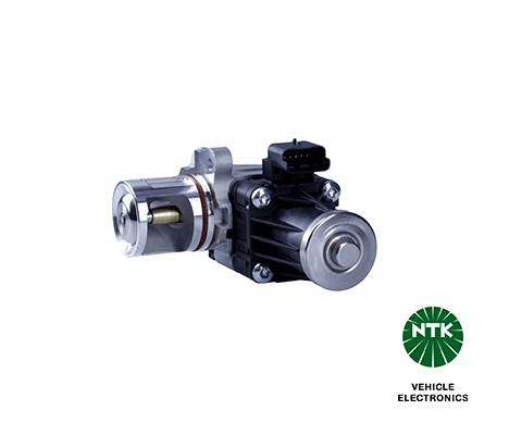EGR Valve (93980)