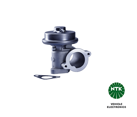 EGR Valve (90793)