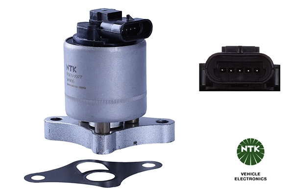 EGR Valve