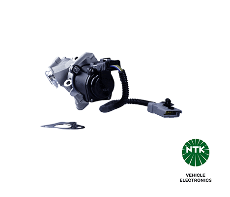 EGR Valve (91117)