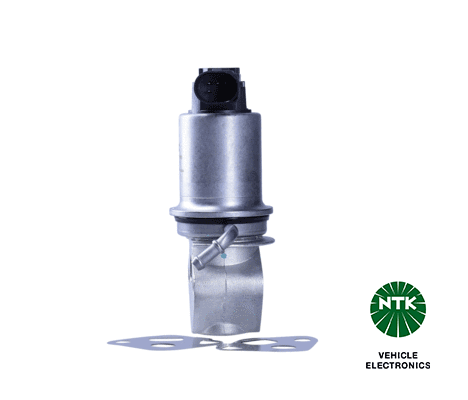 EGR Valve (90094)