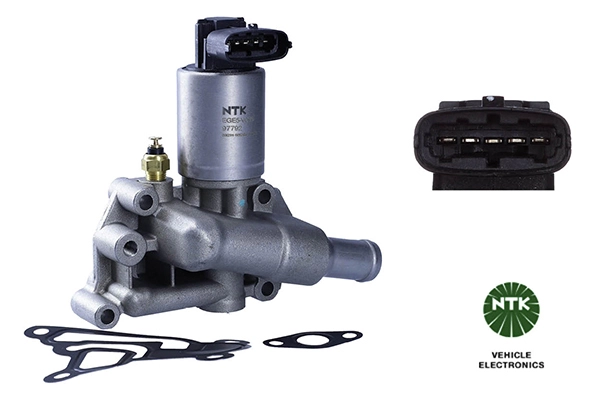 EGR Valve