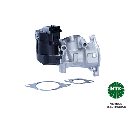 EGR Valve (93608)