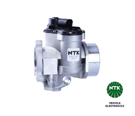 EGR Valve (92614)