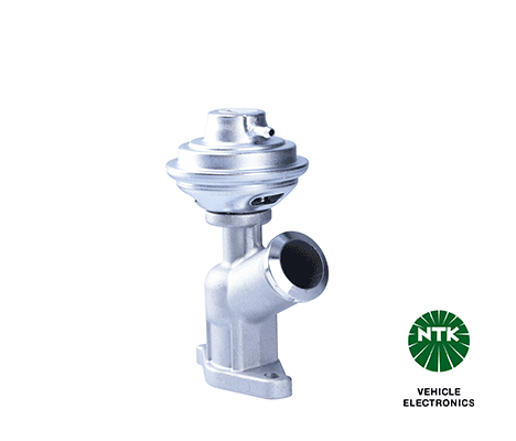 EGR Valve (94307)