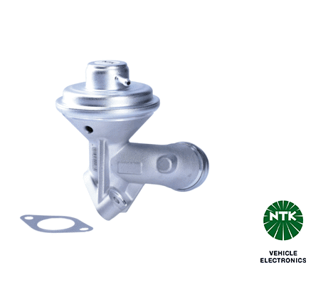 EGR Valve (95013)