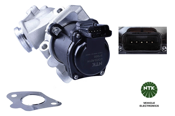 EGR Valve