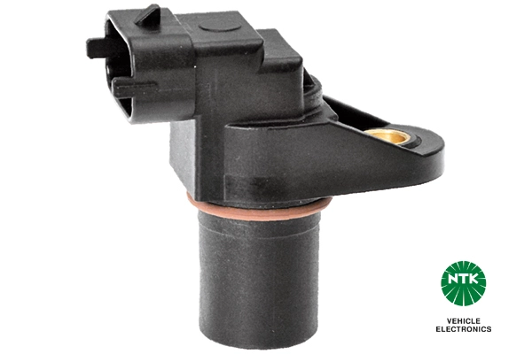 Sensor, camshaft position (81088)