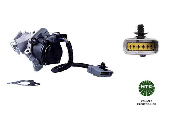 EGR Valve