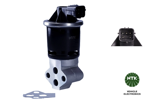 EGR Valve