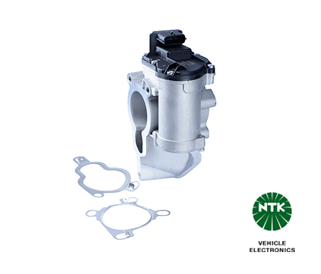 EGR Valve (95333)