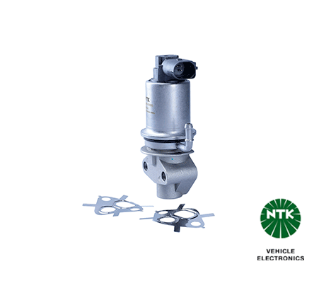 EGR Valve (90204)