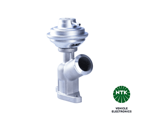 EGR Valve (95864)
