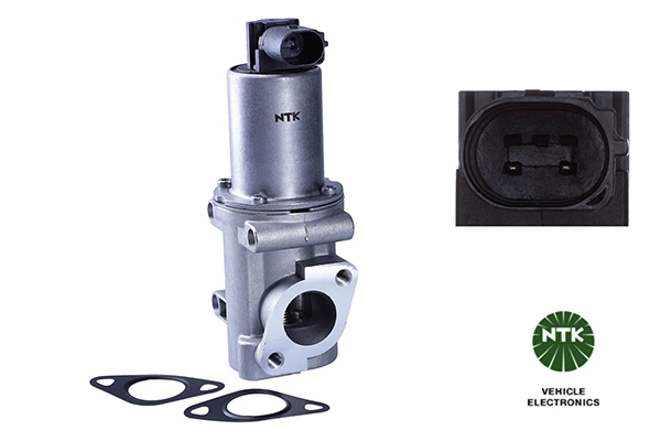 EGR Valve