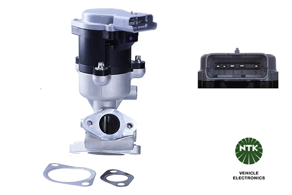 EGR Valve (95145)