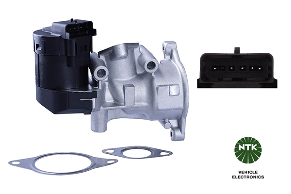 EGR Valve