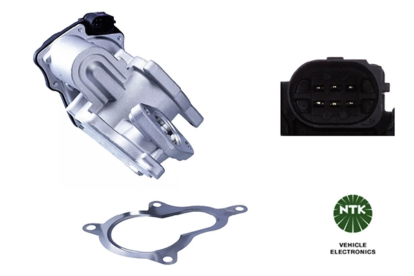 EGR Valve