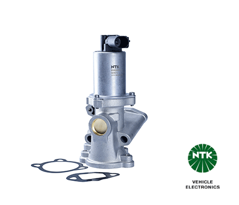 EGR Valve (92574)