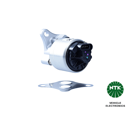 EGR Valve (96269)