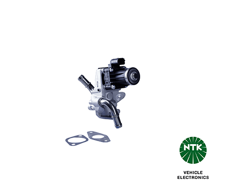 EGR Valve (91957)