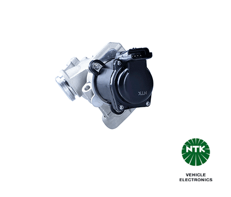 EGR Valve (97868)