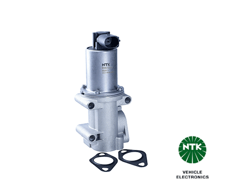 EGR Valve (92511)