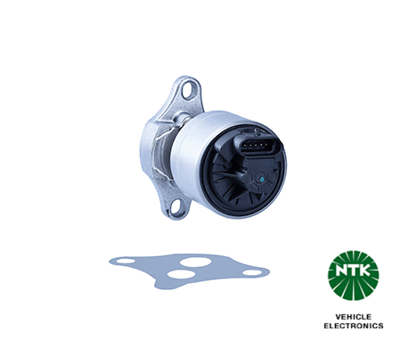 EGR Valve (90229)