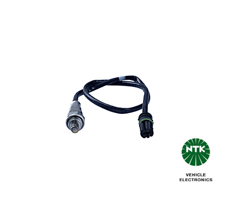 Lambda Sensor (1975)