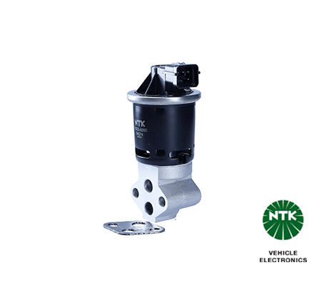 EGR Valve (94014)