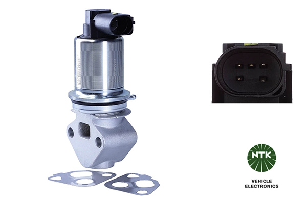 EGR Valve