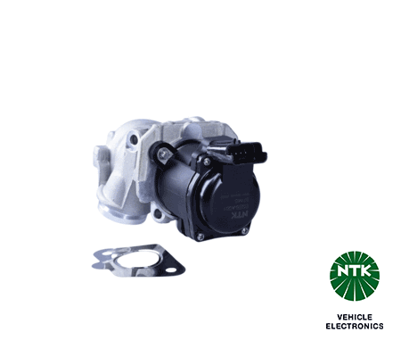 EGR Valve (97445)