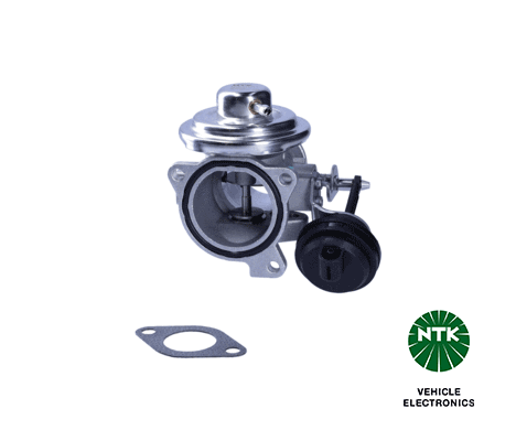 EGR Valve (95823)