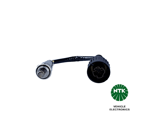 Lambda Sensor (1973)