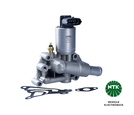EGR Valve (97792)