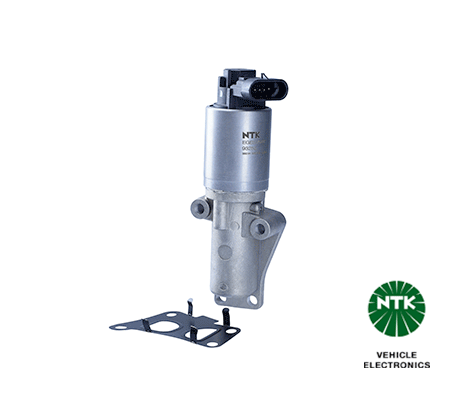 EGR Valve (93255)