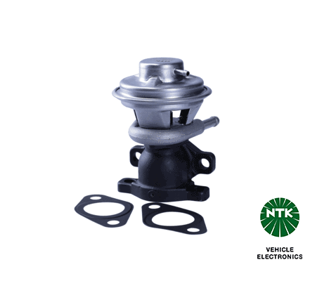 EGR Valve (91346)